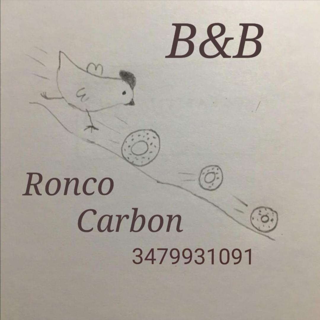 B&B Ronco Carbon ガッリオ エクステリア 写真